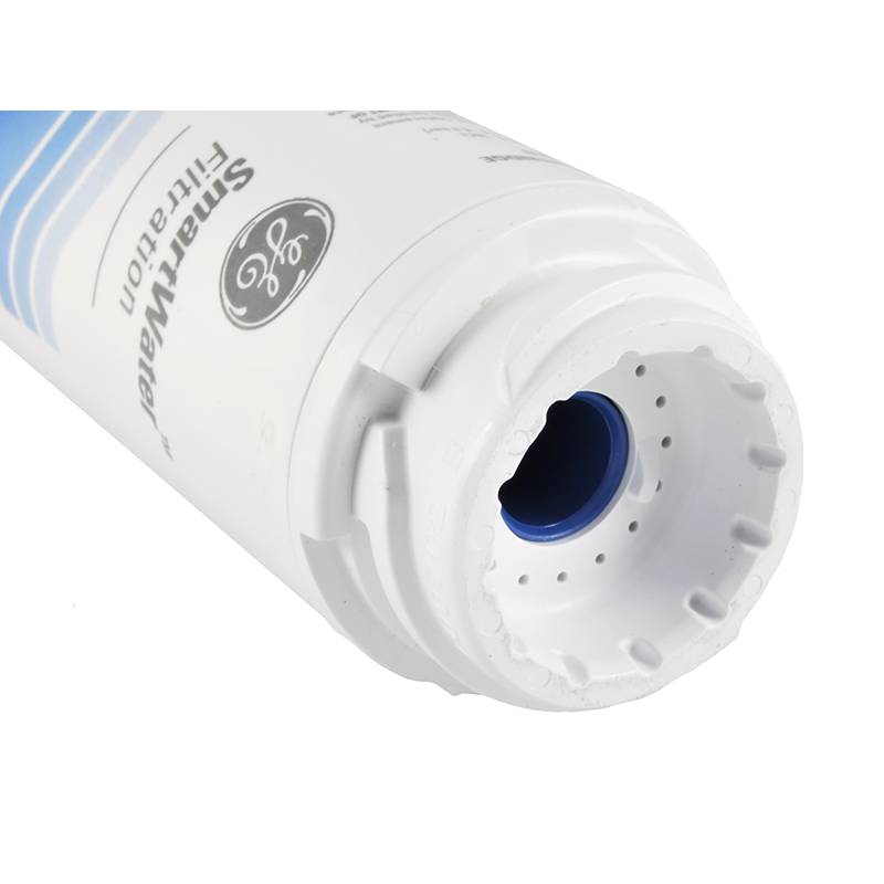 GE GSWF Filtre Frigo d'Origine