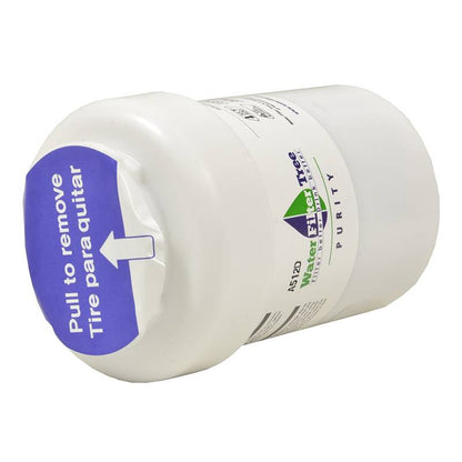 WLF-GE01 (MWF) Filtre Frigo Compatible